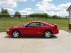 Thumbnail Photo 0 for 1994 Ford Mustang Cobra Coupe